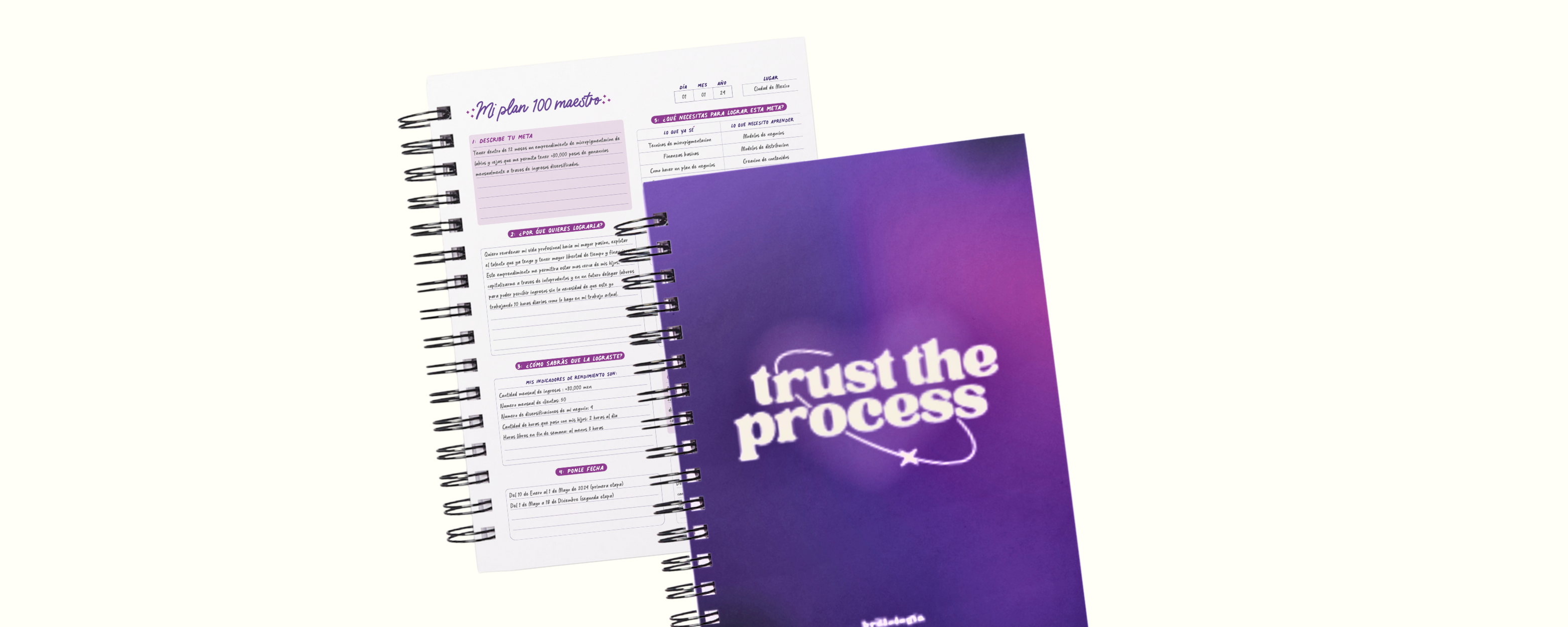 Planner de procesos (Trust the process)